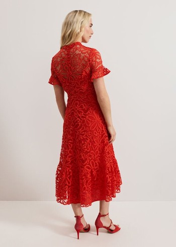 Phase Eight Lula Lace Dress Red Australia | TU0483561